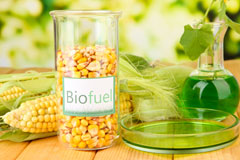 Yealmpton biofuel availability