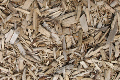 biomass boilers Yealmpton